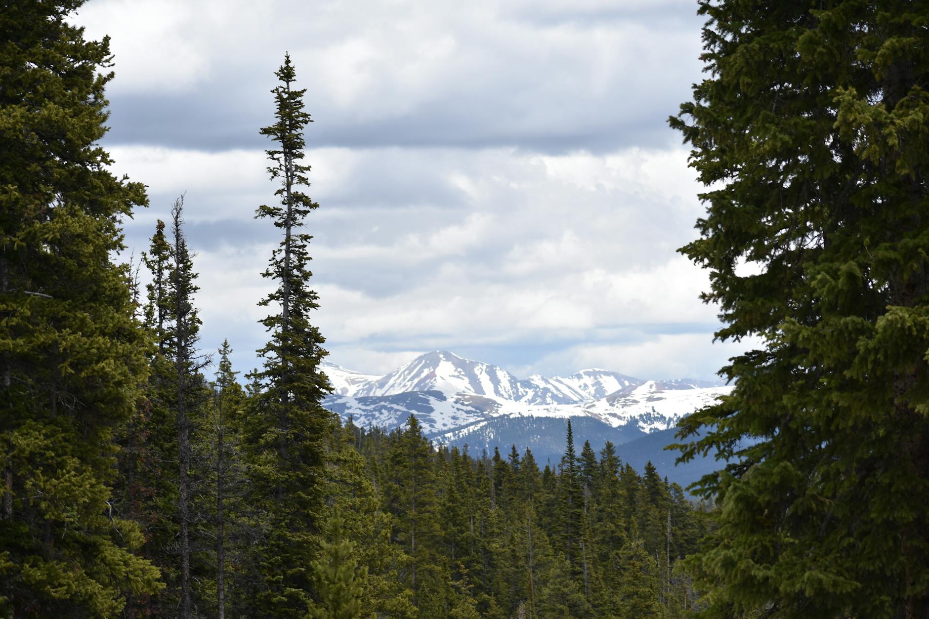 snowy peaks in the colorado rocky mountains